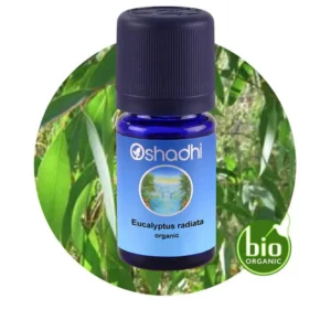 Eucalyptus Radiata (Organic)