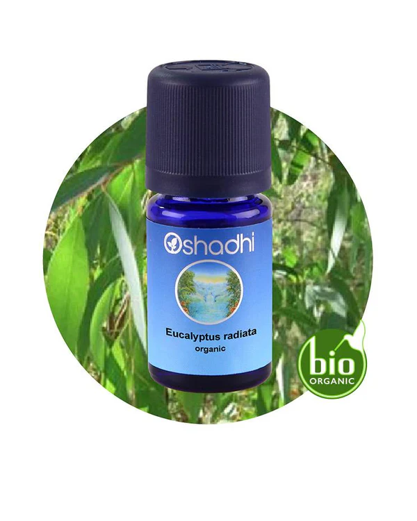 Eucalyptus Radiata (Organic)