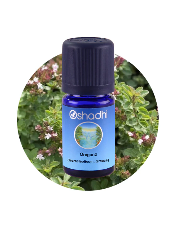 Oregano