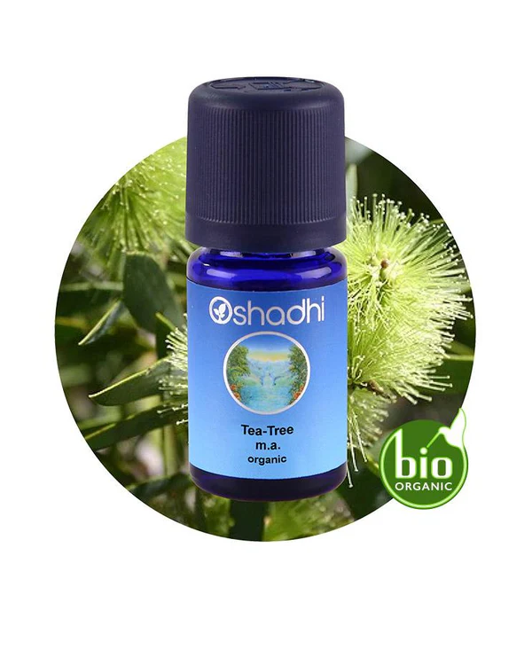 Arbore de ceai (Organic)